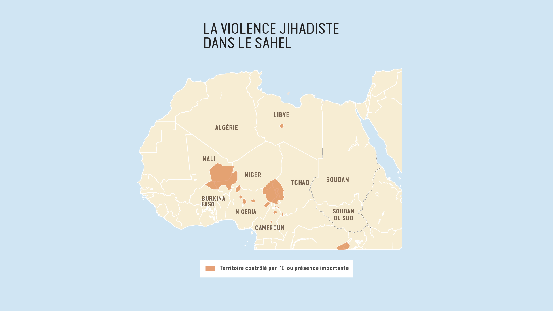 Infographie